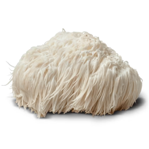 Lion's Mane